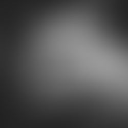 Lapin : la liberté sinon rien !