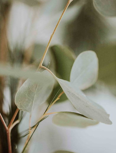Image by nine koepfer