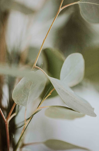 Image by nine koepfer