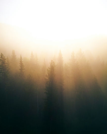 Image by Christoph Nolte