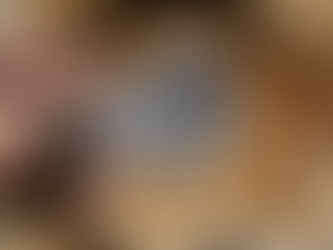 As Part of Nation Wide NO KINGS Protests