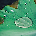 Image by Julia Barbour
