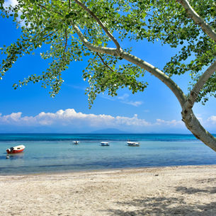 "We wouldn't book a holiday abroad without her now!" - Joe