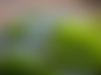 WEBINAR: DISCOVERING MOSSES: A MATERIA MEDICA MISSING LINK?