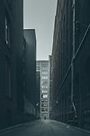 Image by Verne Ho
