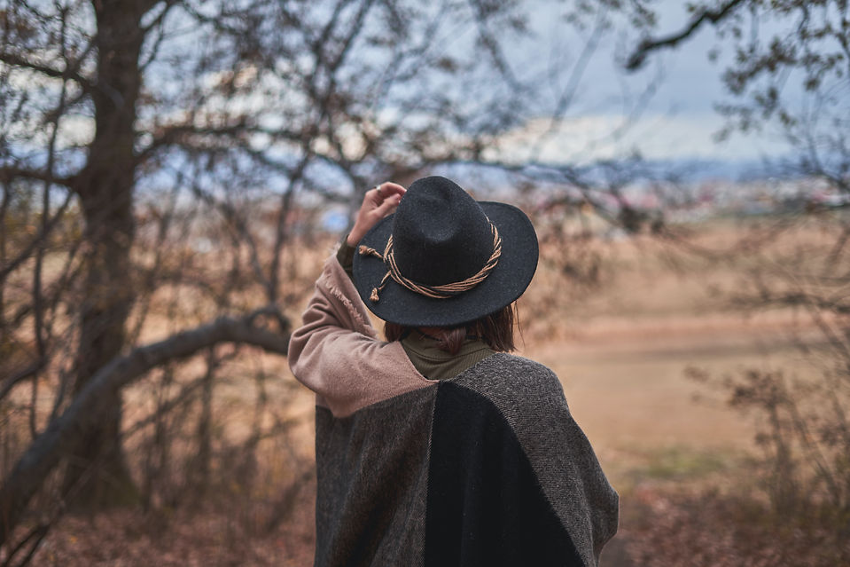 Image by Fineas Gavre