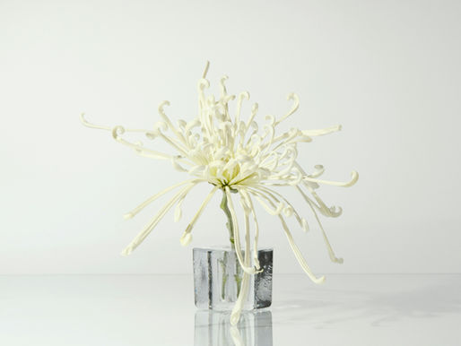 Beyond Success: จากความสำเร็จ...สู่ความสงบที่มีความหมาย