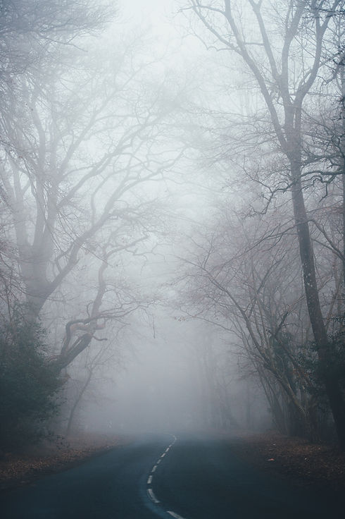 Image by Annie Spratt