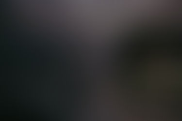 Who are the writers and who get published