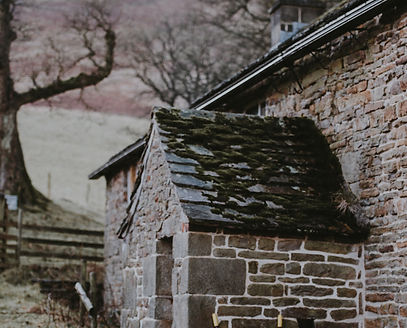 Image by Annie Spratt
