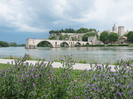 Pourquoi faire un diagnostic toiture à Avignon ?