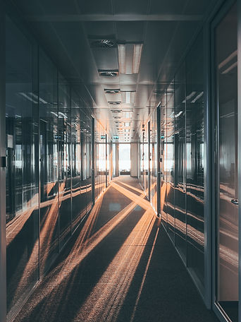 Image by Ryan Klaus