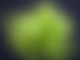 Plant Power: The Top 10 Choices for Repelling Unwanted Insects