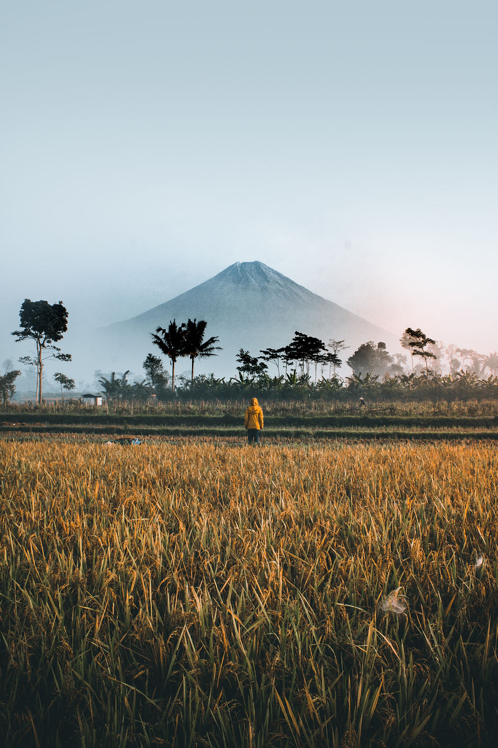 Indonesia Kudo Lifestyle Travel