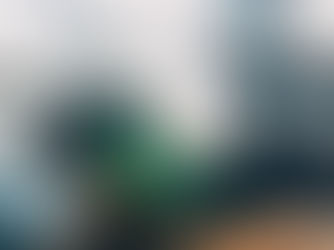 IFC to Invest $100M In Brookfield Emerging Markets Fund