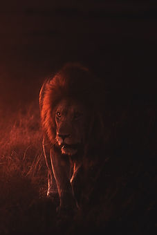 Image by Keyur Nandaniya