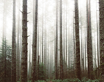 Image by Eric Muhr