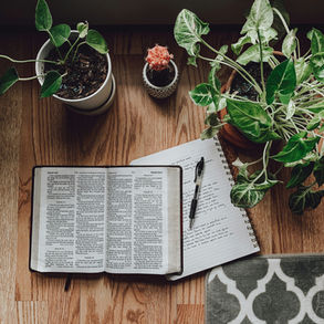 Potted houseplants on a wooden floor beside an open Bible, notebook, and pen in soft window light, calm study scene.