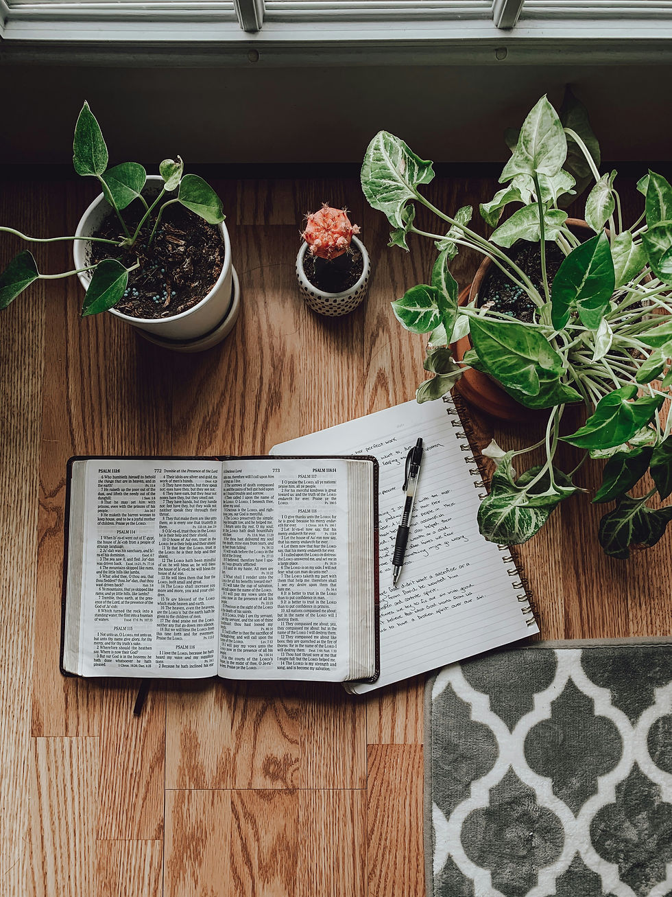 Becoming Groups: Women's Group