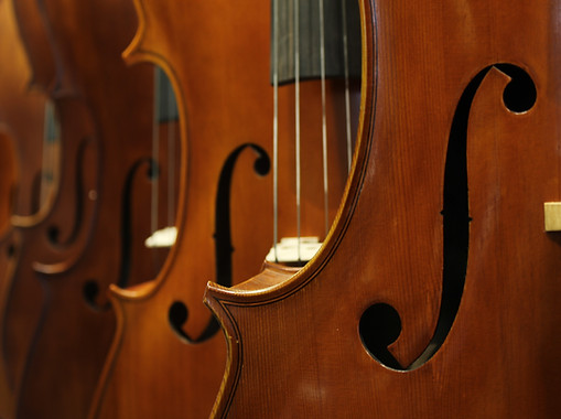 Image by Umutcan Günüç