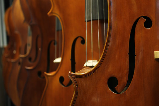Image by Umutcan Günüç