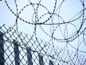 Amid ICE killings, churches defend immigrants