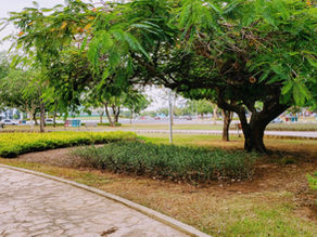 Harmonia entre homem e natureza: uma necessidade