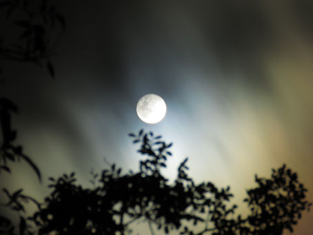 Let Go of Old Patterns of Ambition As You Take Fearless Actions! Full Moon in Gemini...