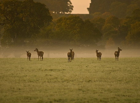 Image by Mike Tinnion