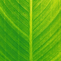 Image by Mark LYU
