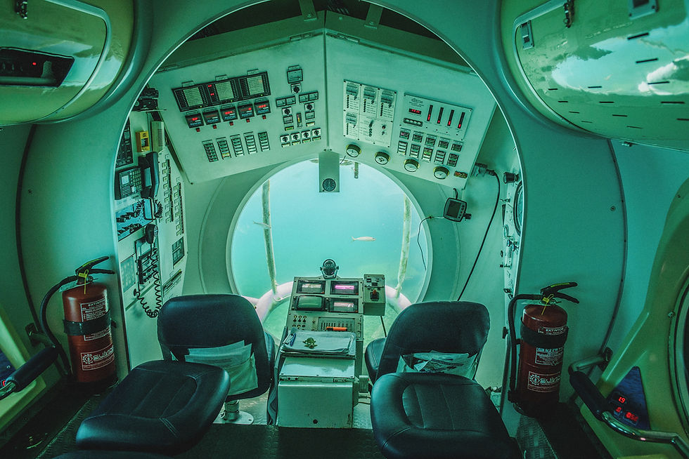 sonar, echolocation, hearing, underseas, submarine, ocean, technology, stem, steme, marine biology