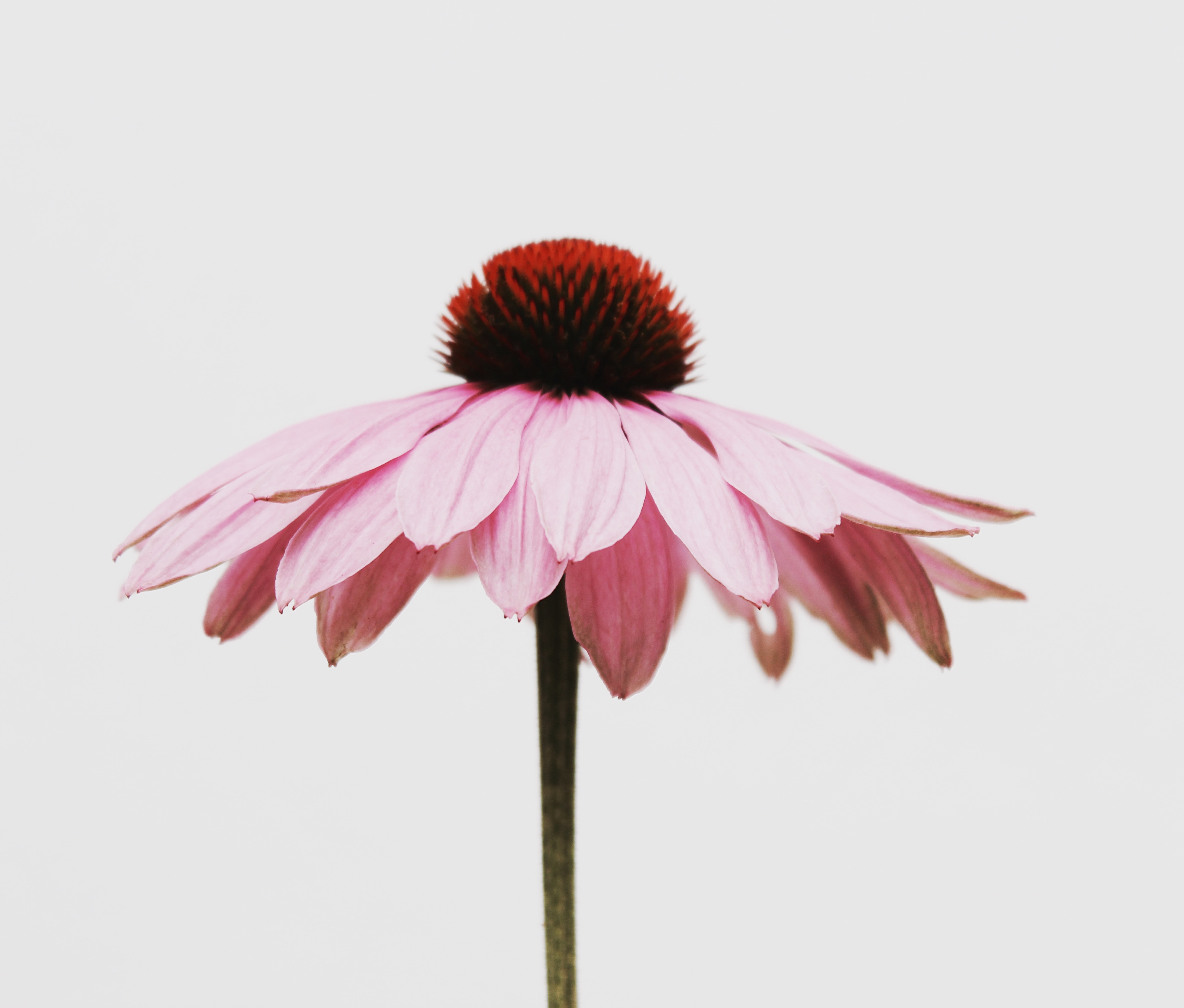 Image by Kiki Siepel