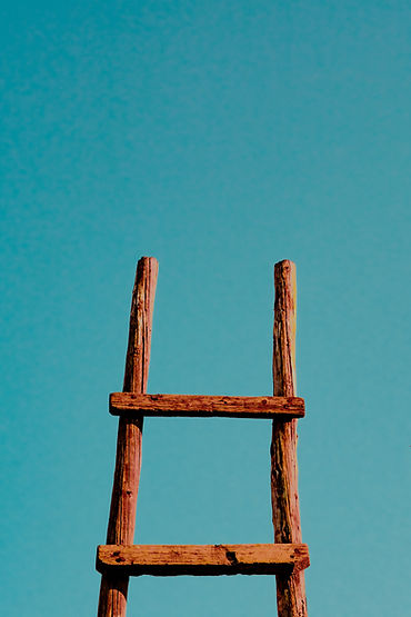 Image by Xin