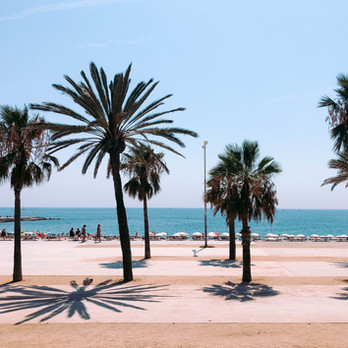 Image by Lucrezia Carnelos