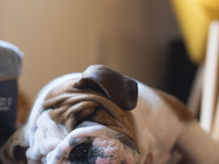 Sleep The Power of Staying Healthy -