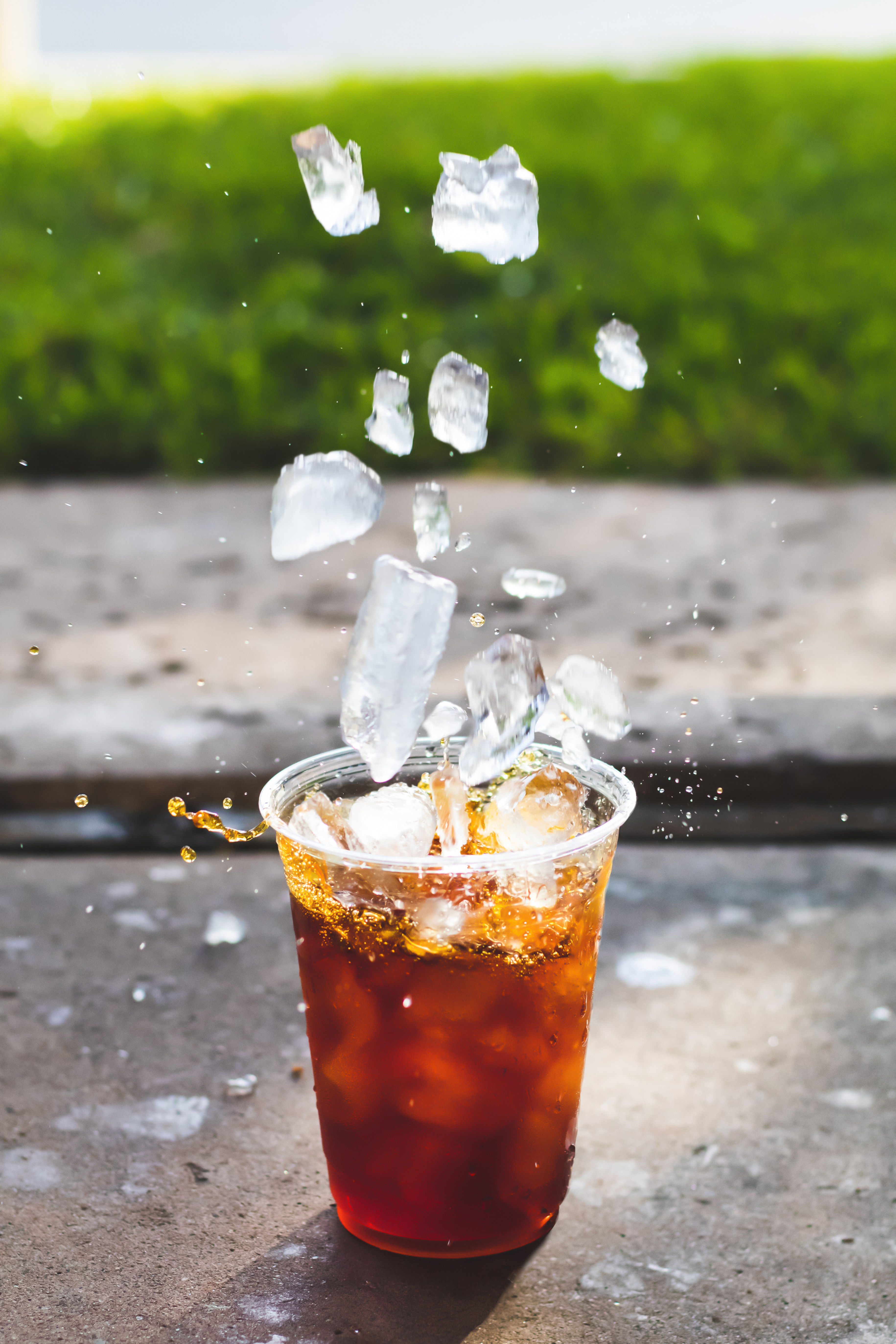 Fresh Herbal Ice Tea Kit