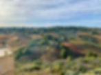 View of the vineyards to the north of Châteauneuf-du-Pape.