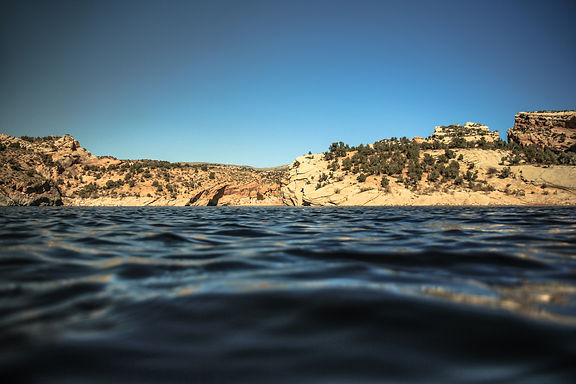 Image by Patrick Hendry