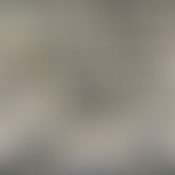 How a library visit should look like