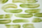 cucumber slices laid out flat