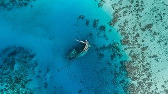 Image by Ishan @seefromthesky