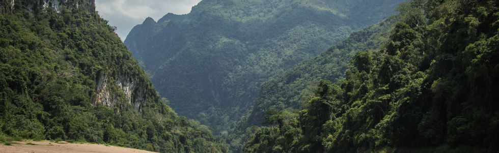 Nature and Landscape