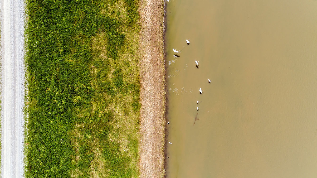 Image by Justin Wilkens