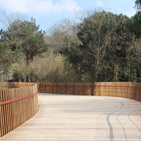 Wood fence