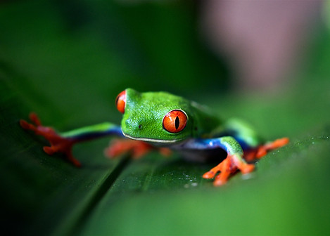 Image de Trevor Cole