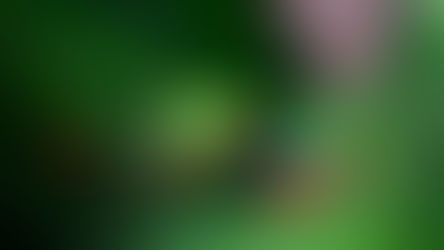 Thankful Thursday (0-4yrs) Noisy creatures