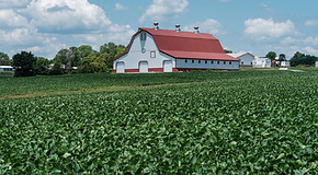 Image by Lumin Osity