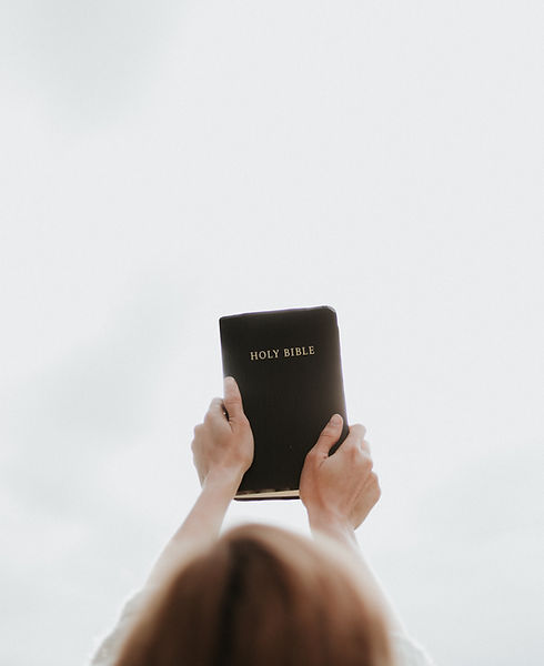 Image by Priscilla Du Preez