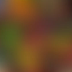 4 women's accessories that will be popular in 2022