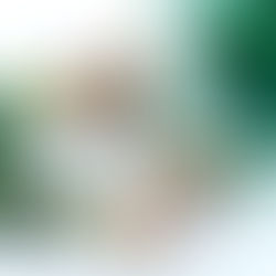 What is Green Marketing?